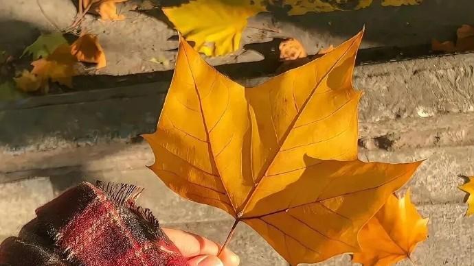 写给自己超级温柔的朋友圈文案，总有一句与你心有灵犀！