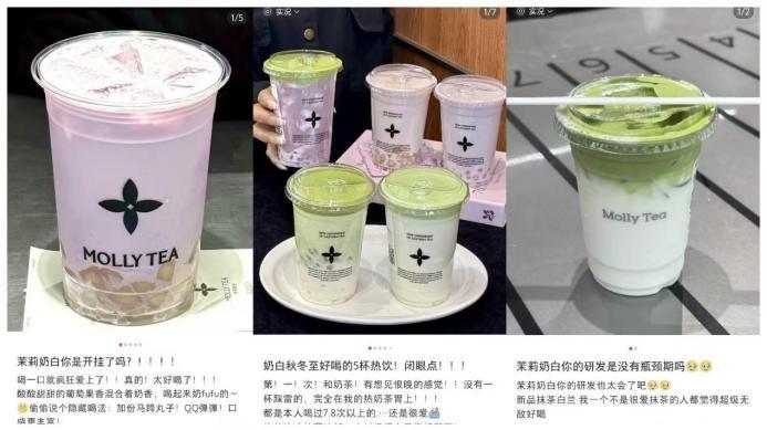 延续全年研发势能，茉莉奶白上新抹茶特调新品系列