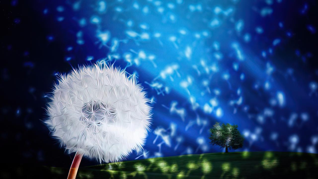 申论阅卷人青睐的2026国考申论答案：这些亮点你能复刻吗？