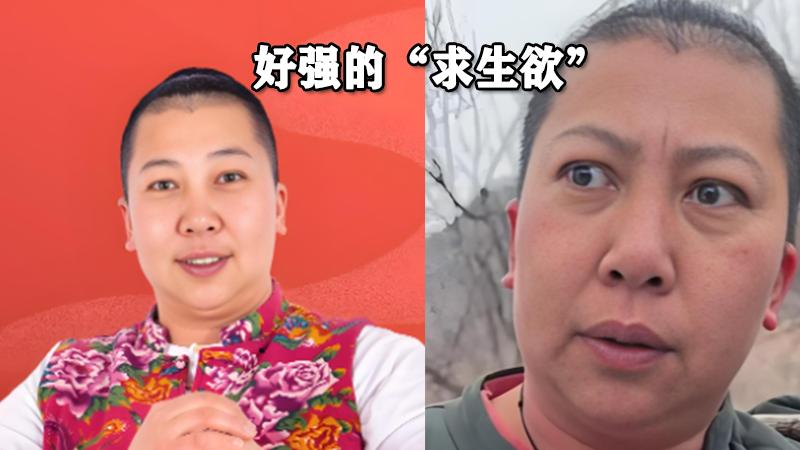 好强的“求生欲”，东北雨姐、猫一杯等变相复出，大家都不答应