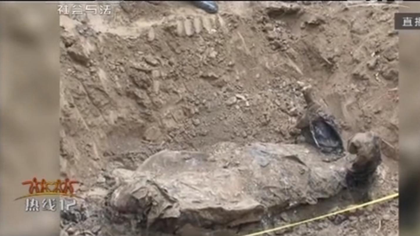 母亲哭称死有余辜！江苏男子被埋院中 2 年，真相藏着 20 年家暴血泪