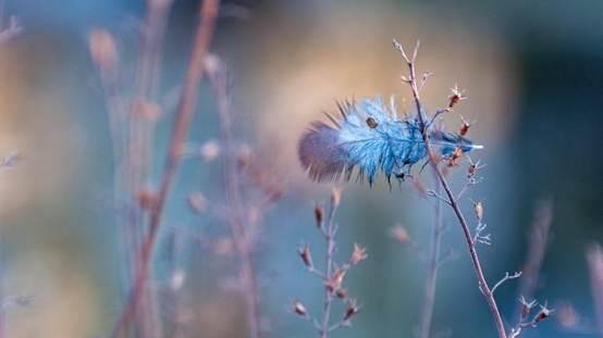 微生物粘泥堵管道？余氯防控别忽视