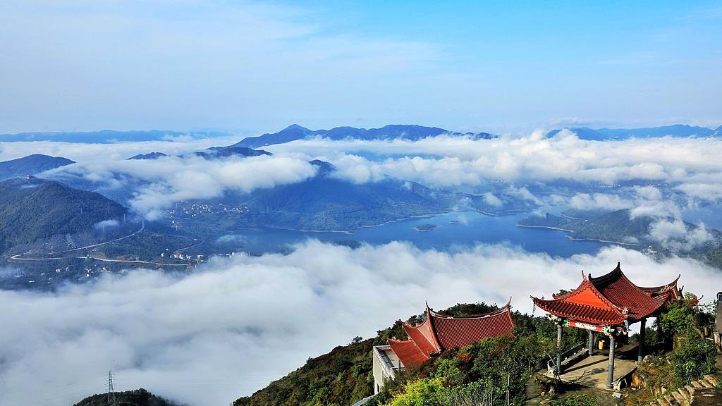 四柱实例分析与应用