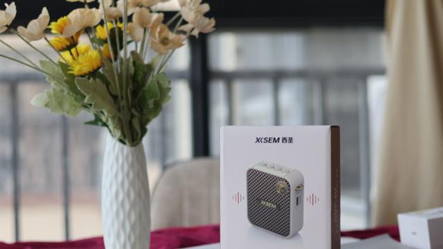 西圣 BEE 无线原声扩音器评测：小身材大能量，重塑扩音新体验