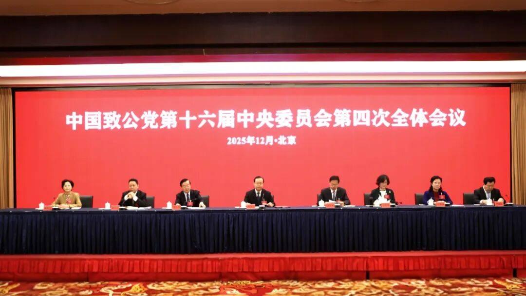 著名书画家陈忠洲院长出席致公党第十六届中央委员会第四次全委会