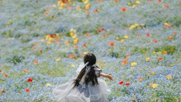 告别标准答案：探索高中生独立思考的起点