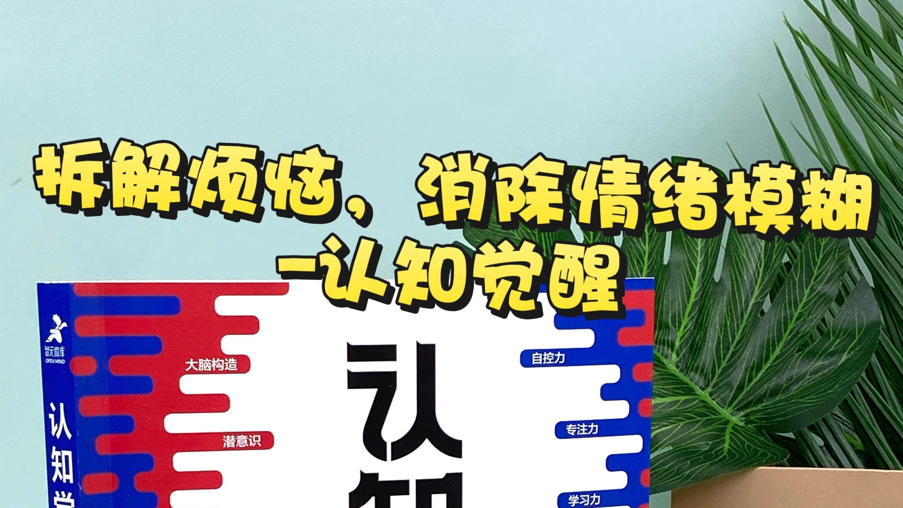 拆解烦恼，消除情绪模糊-认知觉醒