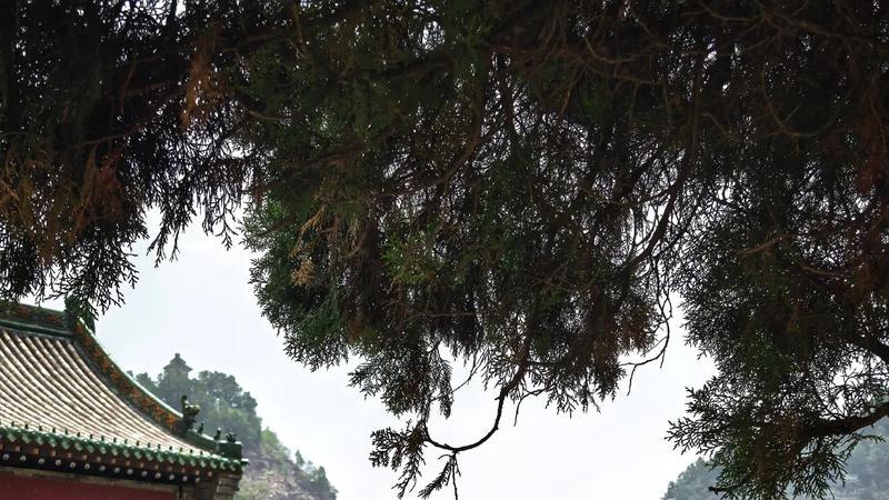 山西吕梁玄中寺：石壁山深处的“净土祖庭”，一场穿越千年的禅意对话 本报记者 张予涵 发自山西吕梁交城