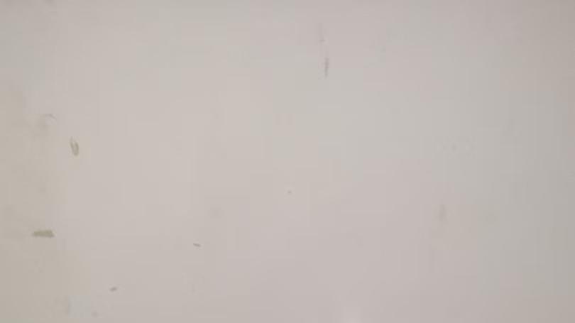 官窑开片焕古彩，四羊方尊藏千年 —— 解码宋代瓷艺的巅峰神韵