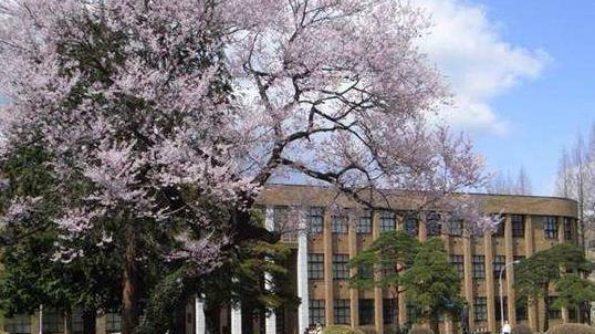 具备这样的特质，能让你在日本留学中如鱼得水