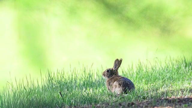 《活着》里最戳心的12句话，读懂了也就释怀了人生
