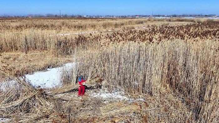 雄安竹木草制品实现首次出口