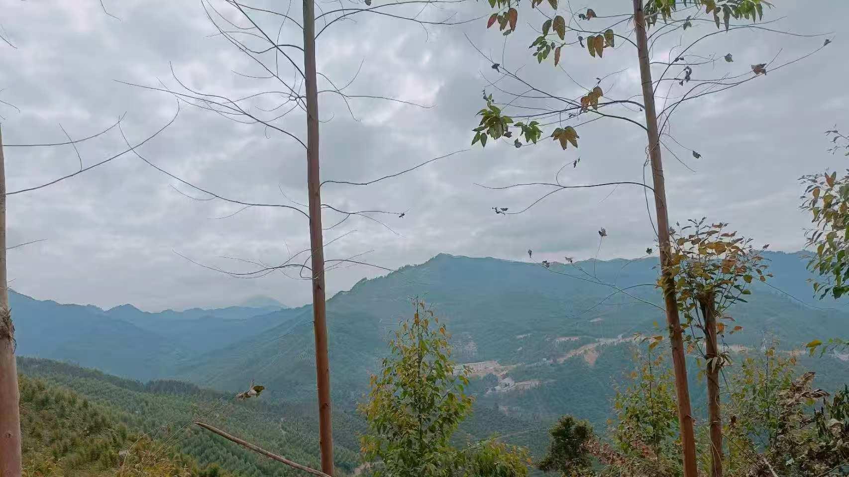 邻里矛盾引发不幸：村民维权盼公正