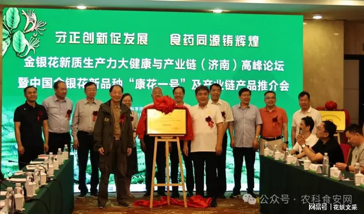 守正创新促发展金银花康花一号新品种食药同源产业链发展高峰论坛