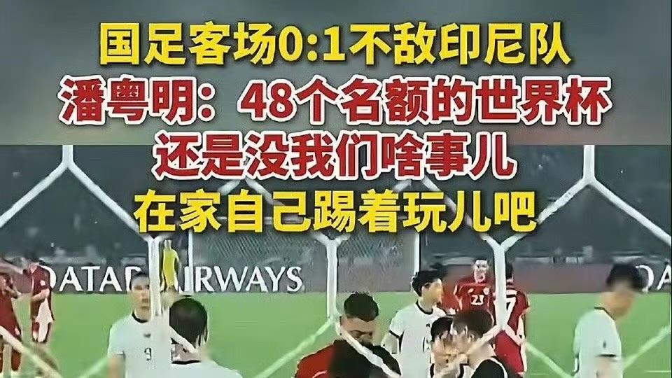 潘粤明国足评论引热议：足球失利下的明星发声