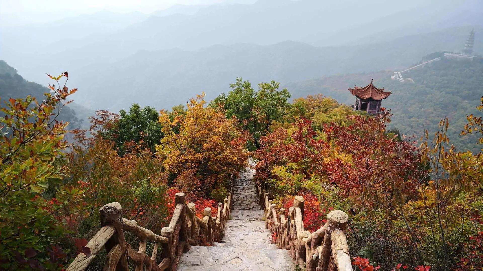 山西仙堂山旅游全攻略：探秘太行南麓的"仙堂佛国"