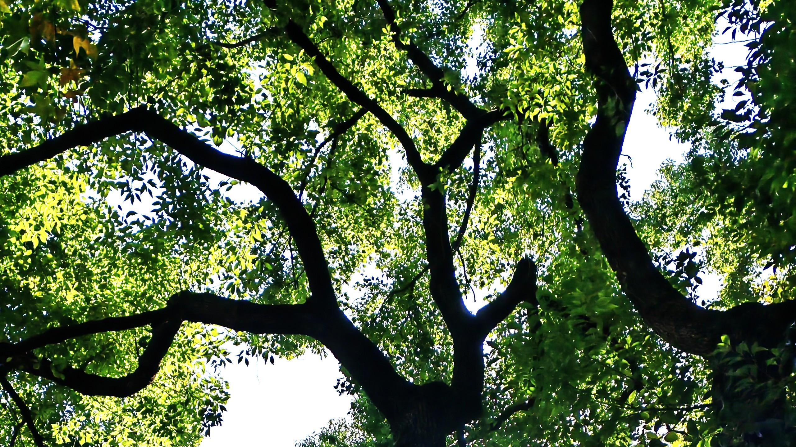 工作遇瓶颈，可以喊暂停