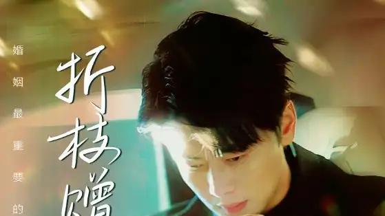 短剧《折枝赠南枝》短剧: 古风双男主痴缠折枝寄情20字描述：折枝寄情，双男主痴缠不休。