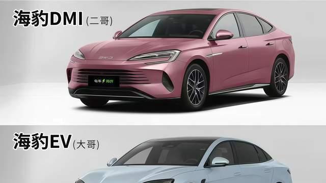 买比亚迪给车主的八个忠告，句句都是肺腑之言，帮车主少踩很多坑