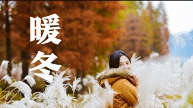 “暖冬冷冬，就看腊月十五”，今日腊月十五，今年是暖冬吗？