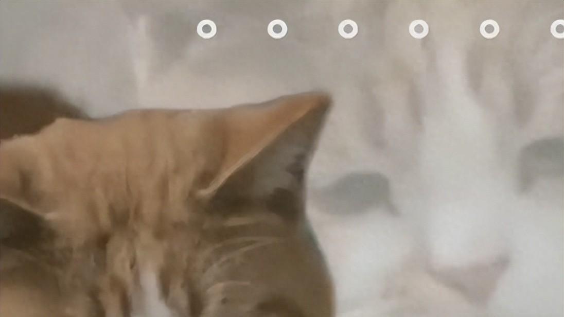 推迟青春服开服为四级考试让路！率土之滨这波操作赢麻了