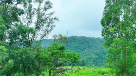 阳光栖居记：在永仁，把日子过成诗