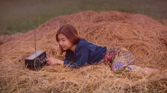 为什么听了那么多道理，还是过不好这一生？因为你缺的是反馈，不是道理