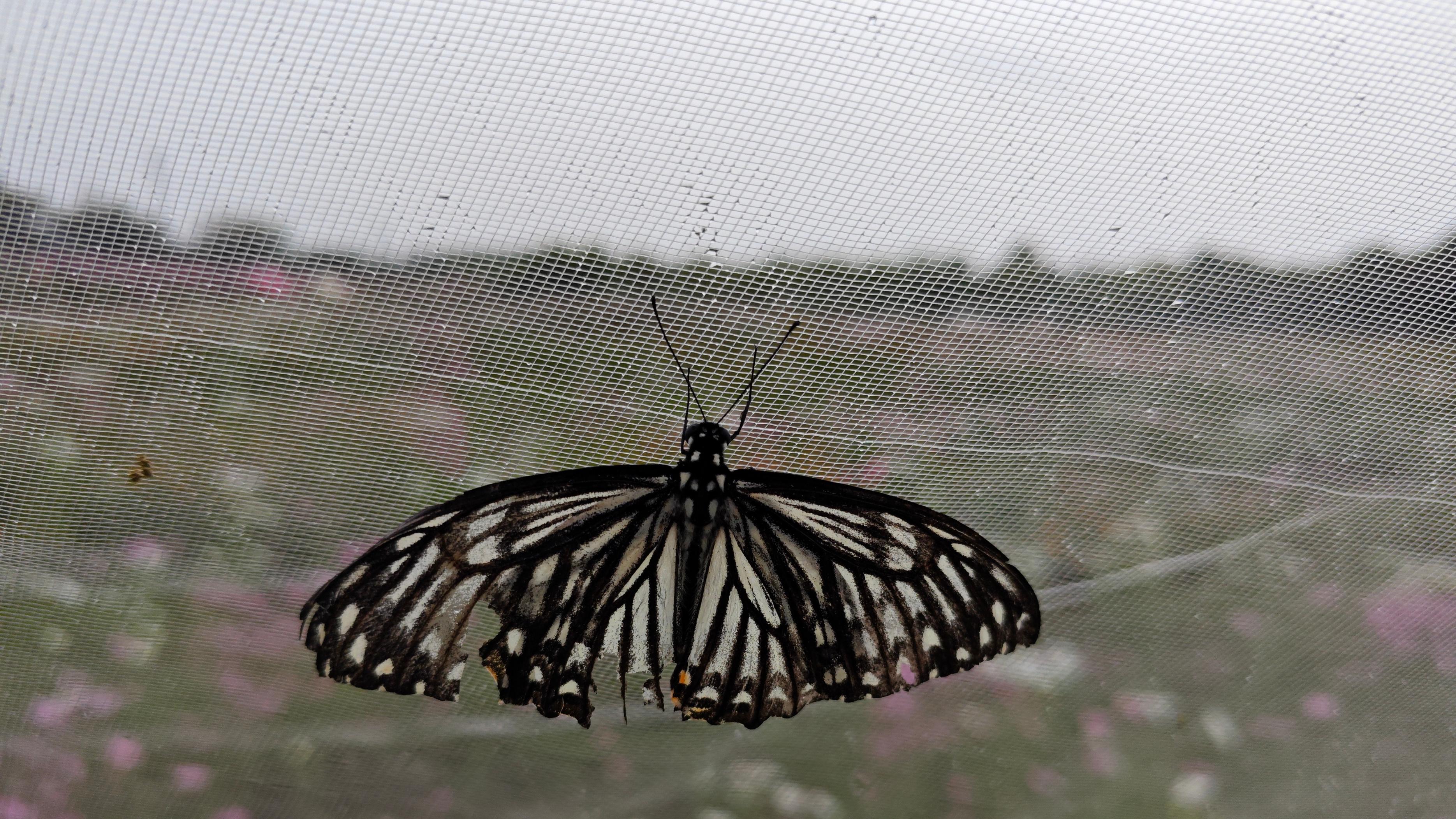 以为的浪漫追求，真相却很残忍