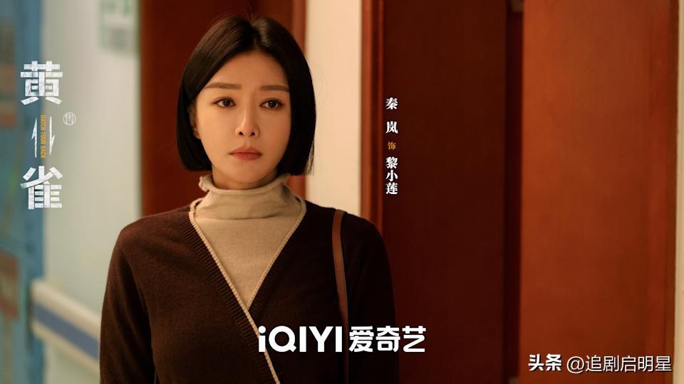 秦岚《黄雀》开播！5大悬疑亮点解析：越不像是贼的人越可能是贼