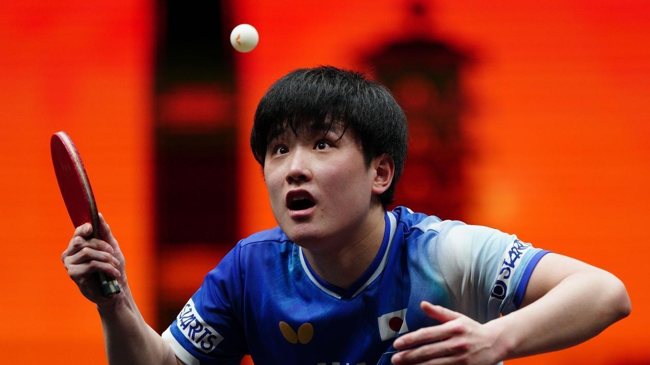 林诗栋3-4再负张本智和！刘国正点评犀利，王皓面色凝重