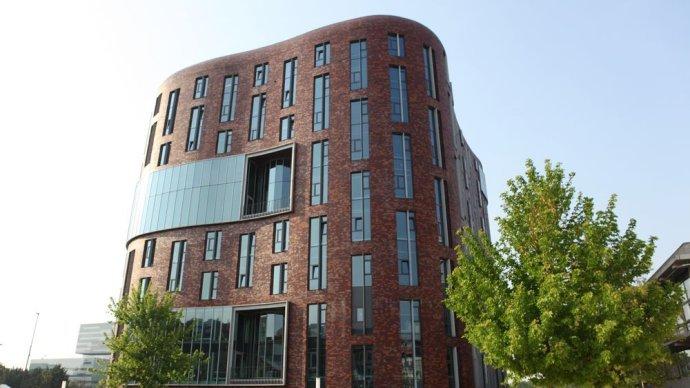 国外高校分享第199期：阿姆斯特丹自由大学-春季入学录取率竟高出10%？荷兰这招太狠了！