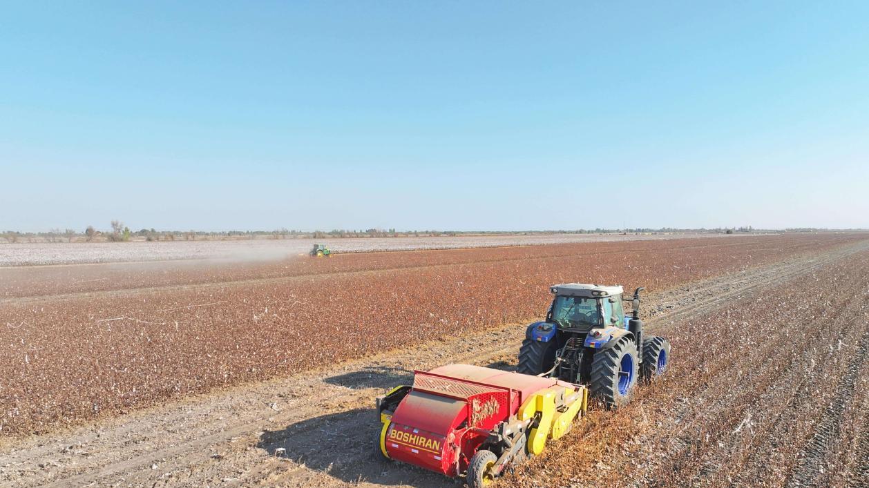 残膜回收机，终结白色污染，让农田一键美颜！