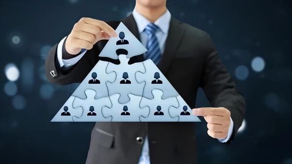 组织级PMO全景指南：从职能到价值，打造组织的战略引擎