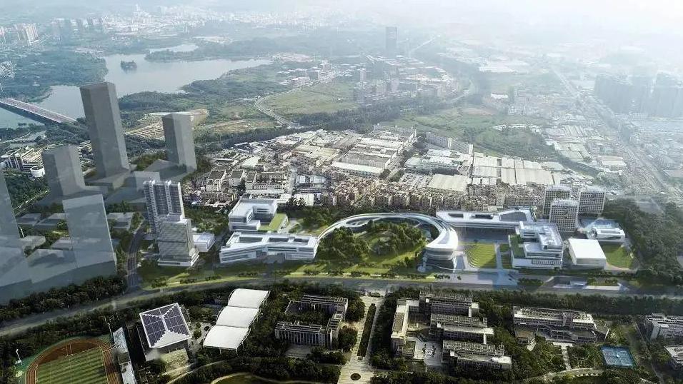 大湾区大学好不好？高校遇上大湾区，学习也有全球视野！