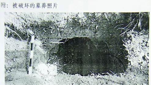 2010年长沙现盗墓狂潮：汉墓一吨黄金传说，引跨省团伙携炸药夜探天马山！