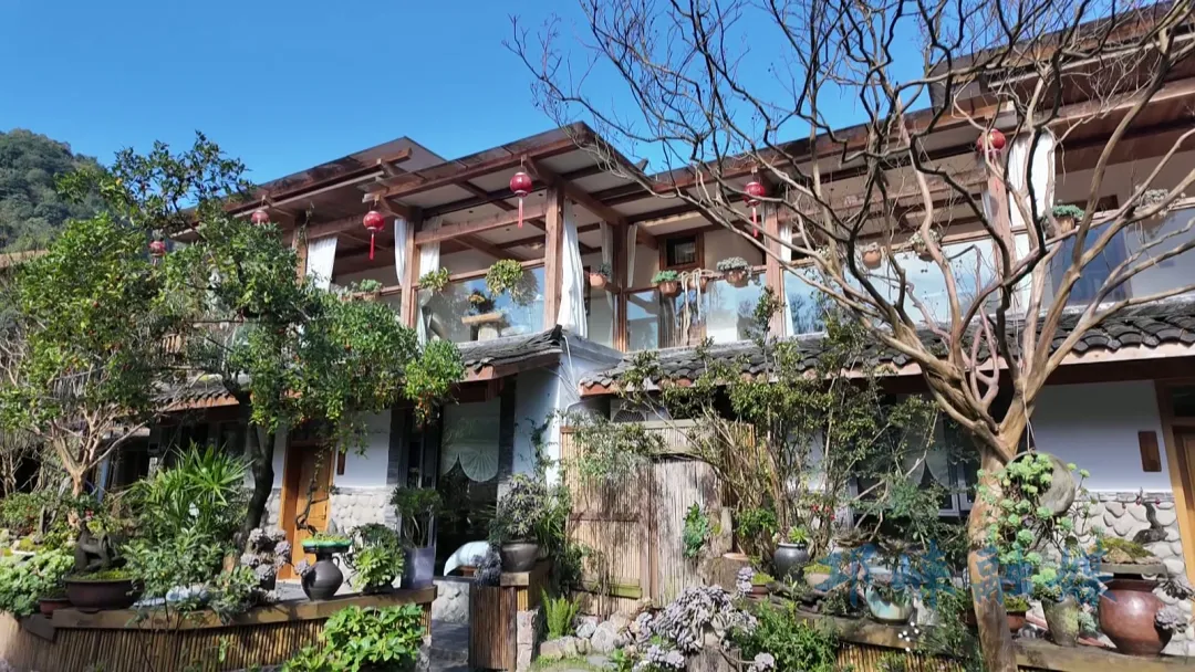 近悦远来·营城兴业丨“四方共治”激活乡村新动能，靖口村探索文商旅体融合之路