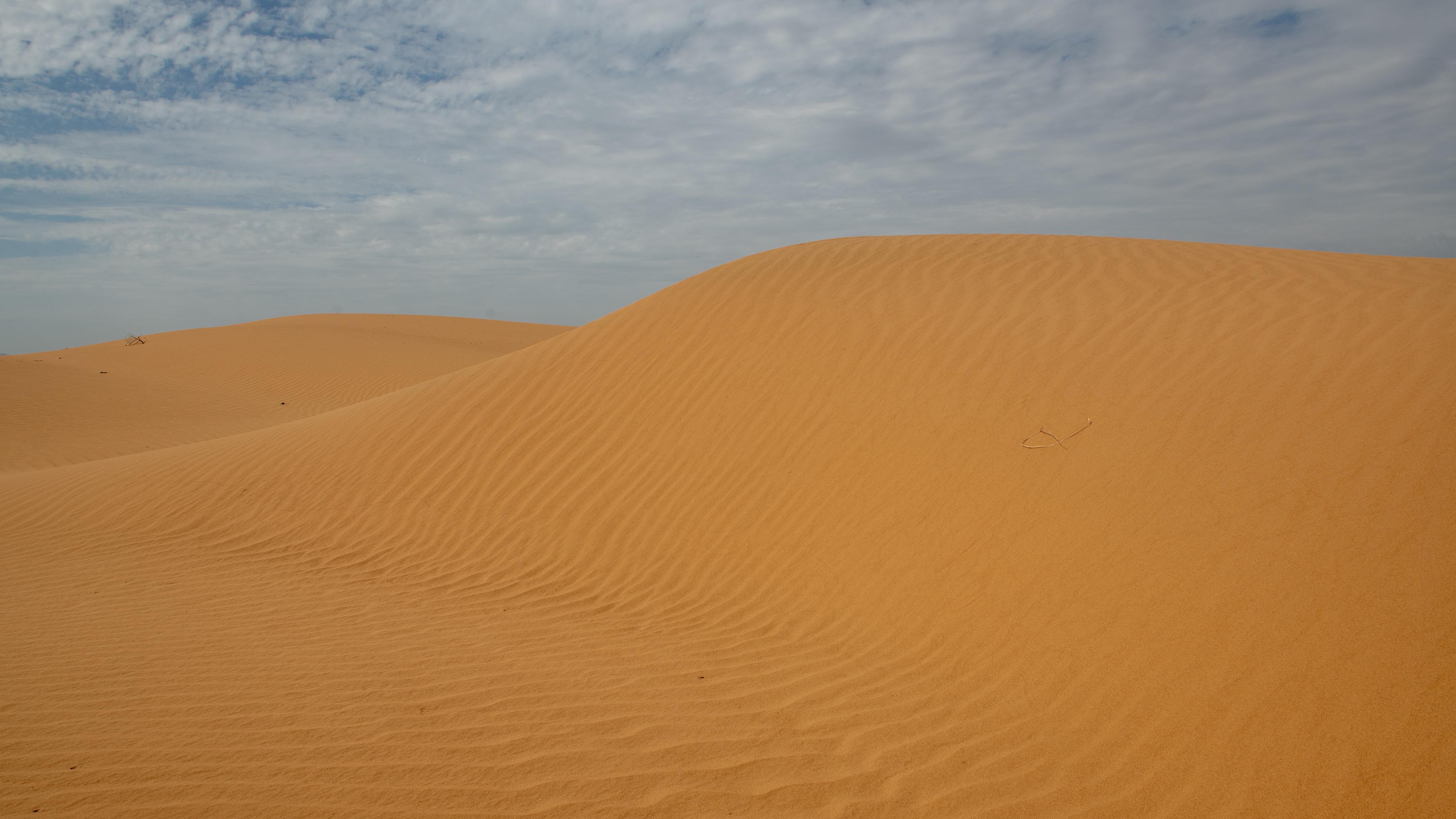 反腐这件事，为什么越到关键期越要“较真”