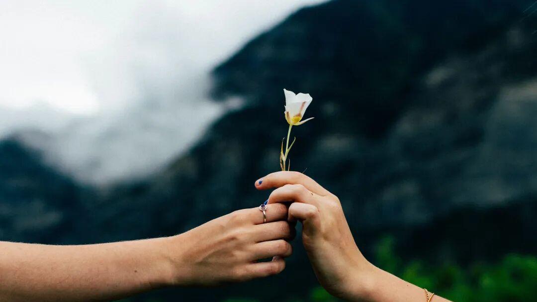 谈过几次恋爱后，你会发现