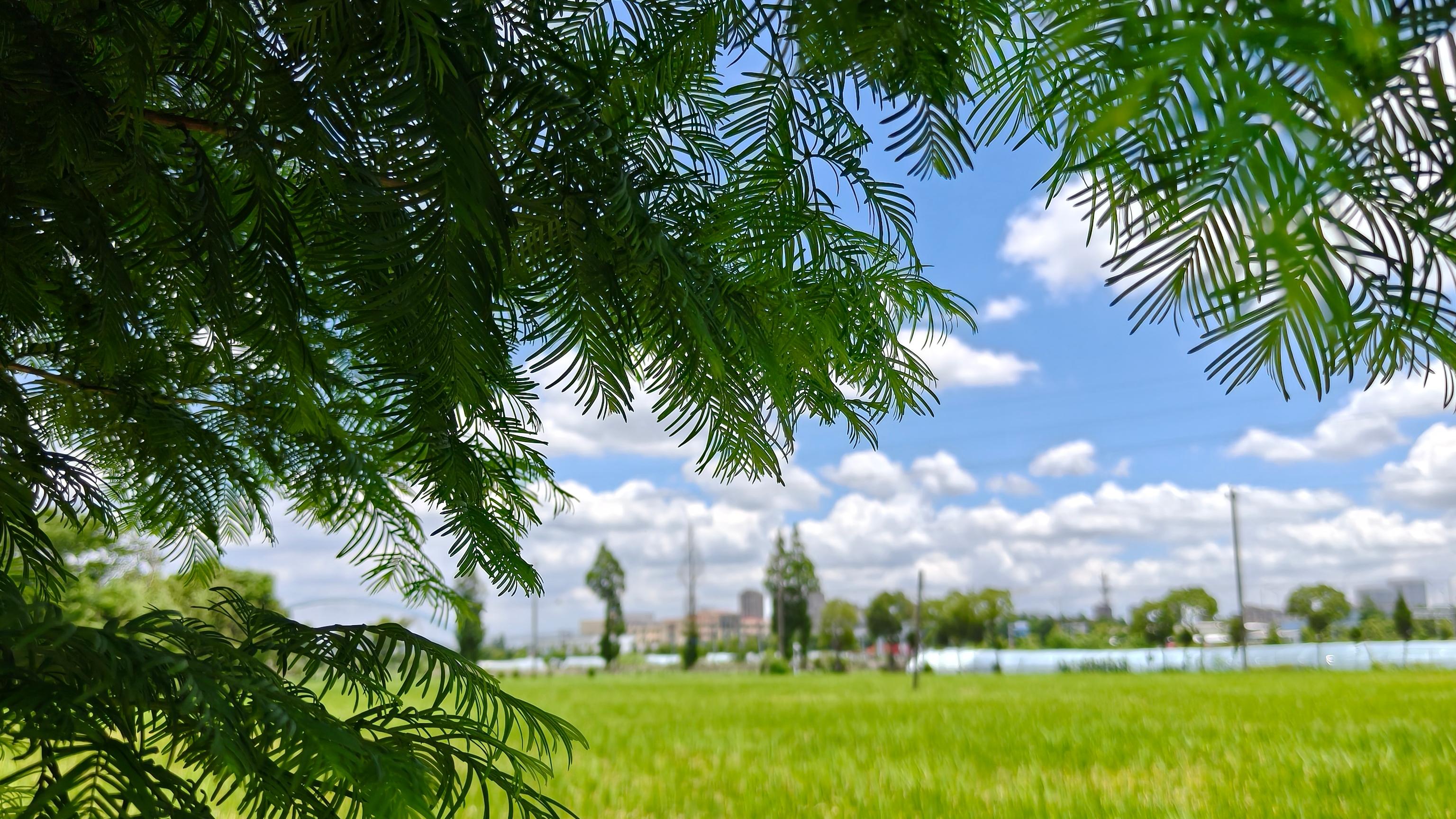 生命系统指导人类执行生存繁衍的任务