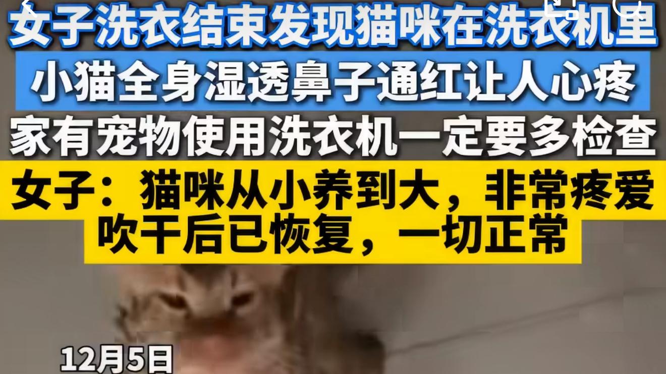 女子洗衣结束发现猫咪在洗衣机里