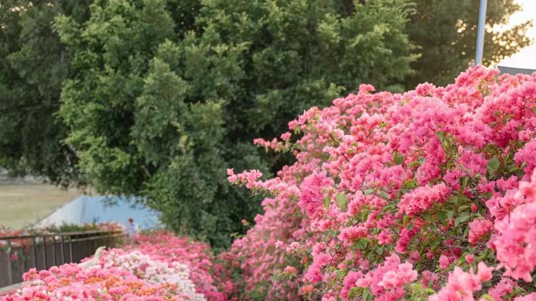 别人对你的态度只取决于你有没有价值。