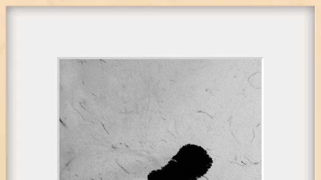 微软亚洲研究院（新加坡）正式建立，我这么看