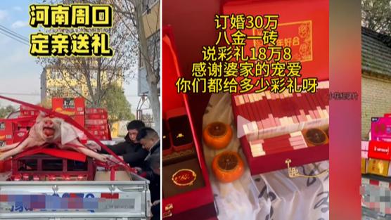 河南彩礼大曝光