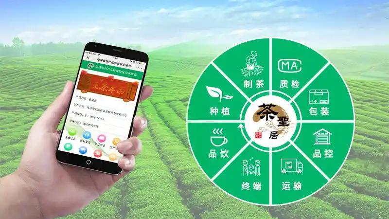 云南茶饼靠 “一物一码 + 多重防伪” 破局