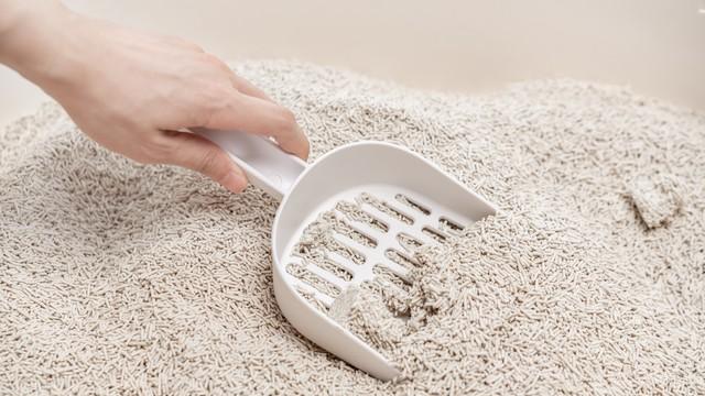 拼多多售后客服的服务态度，全国应该没有第二家了