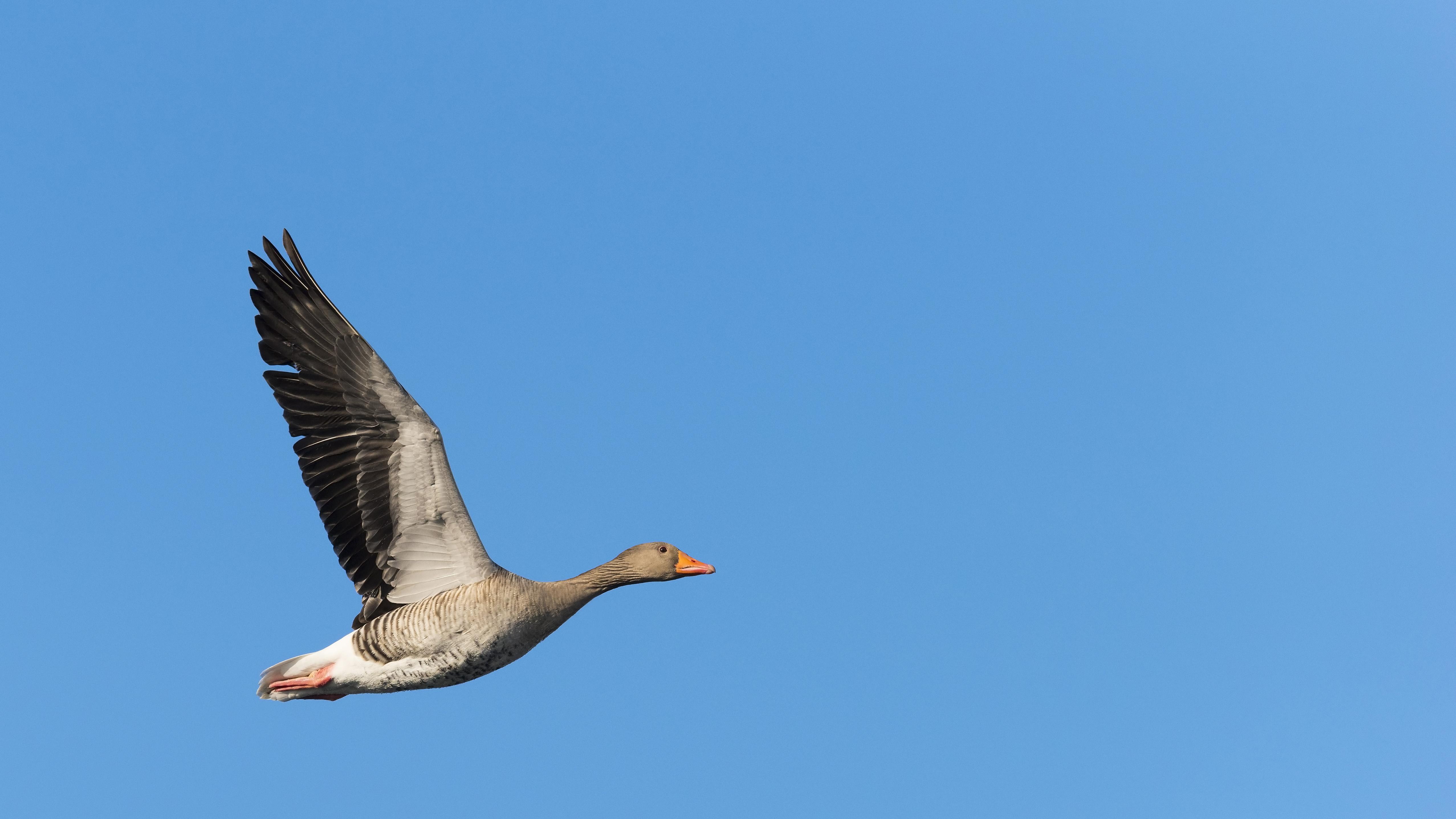 文物不说话，但制度会发声