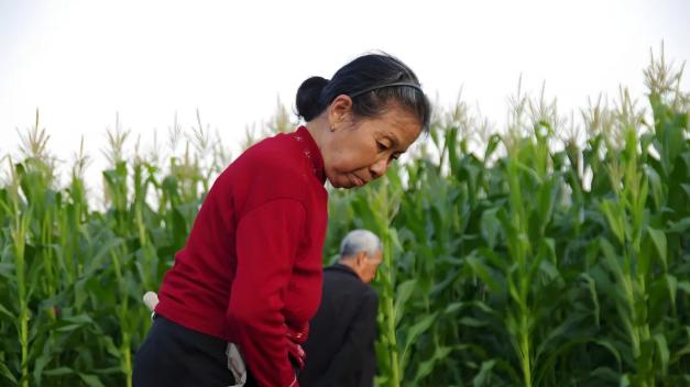 农村婆婆一年收入3万，我妈一年退休金8万，可是我每次给她们钱的时候，两人的态度却截然不同。