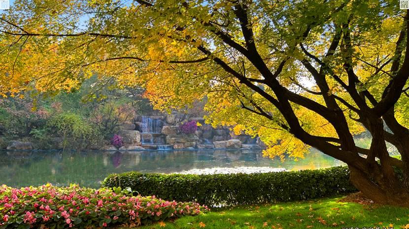 恩感岁月 礼赞生活  润泽御府感恩节寄语