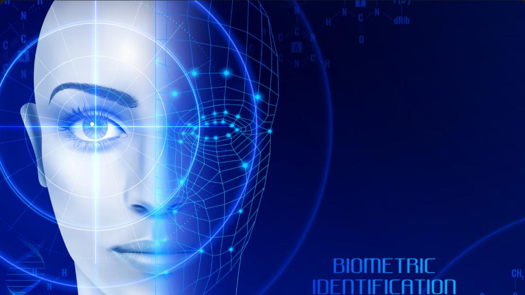 AI 数字人：虚实共生的交互新媒介