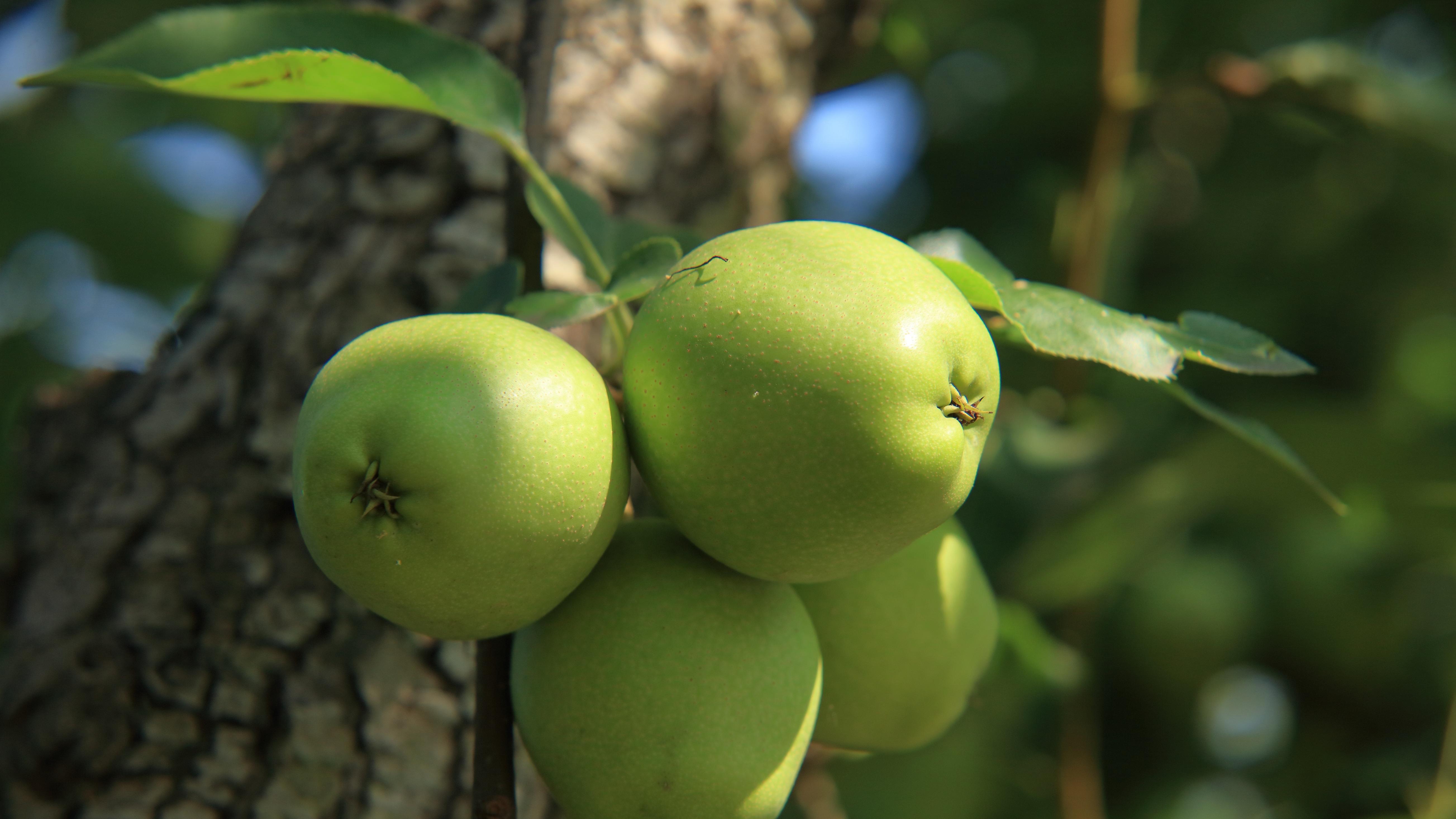 “轻制造”的城市奇遇记
